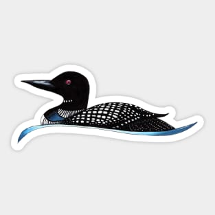 Common Loon Sticker